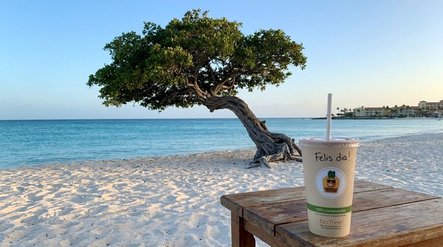 Pineapple Express smoothie at Eagle Beach Aruba near the fofoti tree